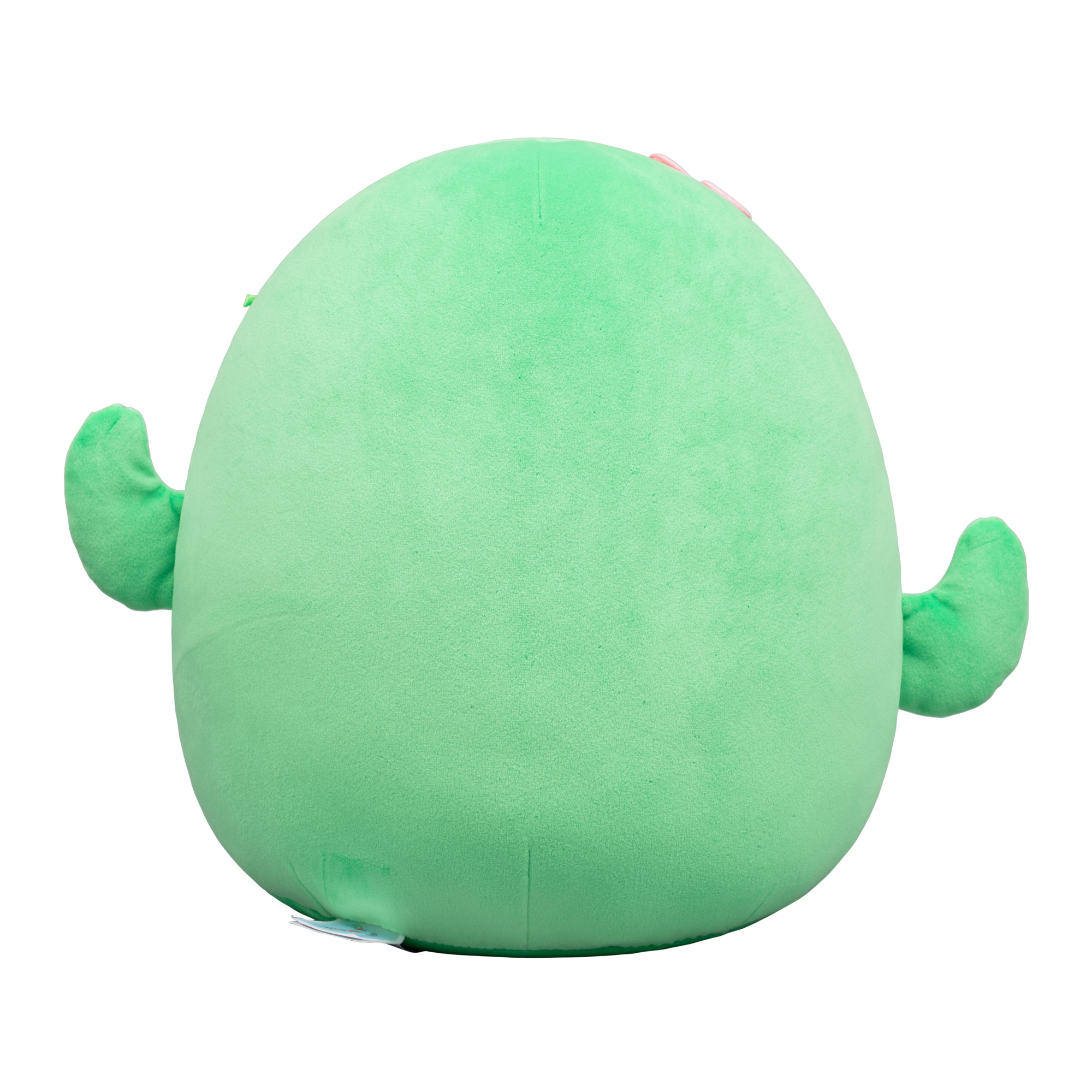 Squishmallows Kaktus "Maritza", 30cm online bestellen | MLLER