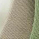 grün/beige