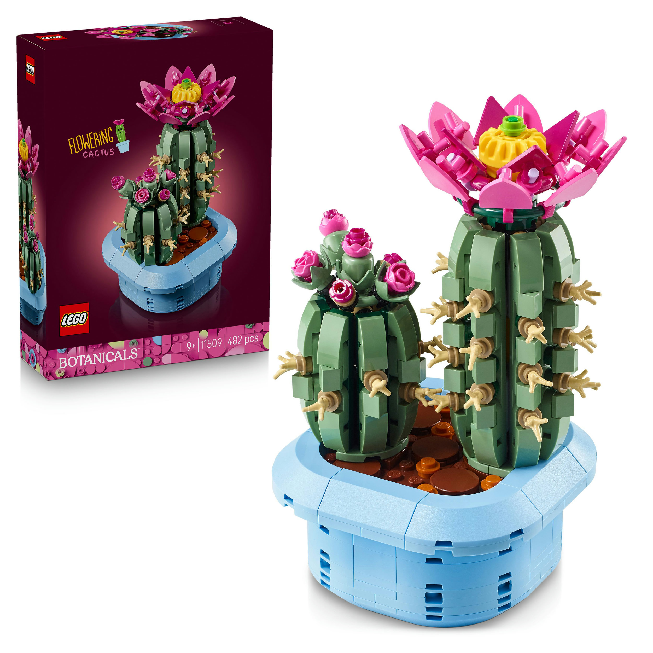LEGO Botanicals online bestellen | MLLER