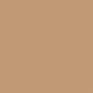 Beige - CN 74