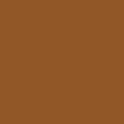 Bronze Glow - 06