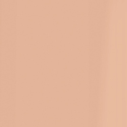 Tulip - 03