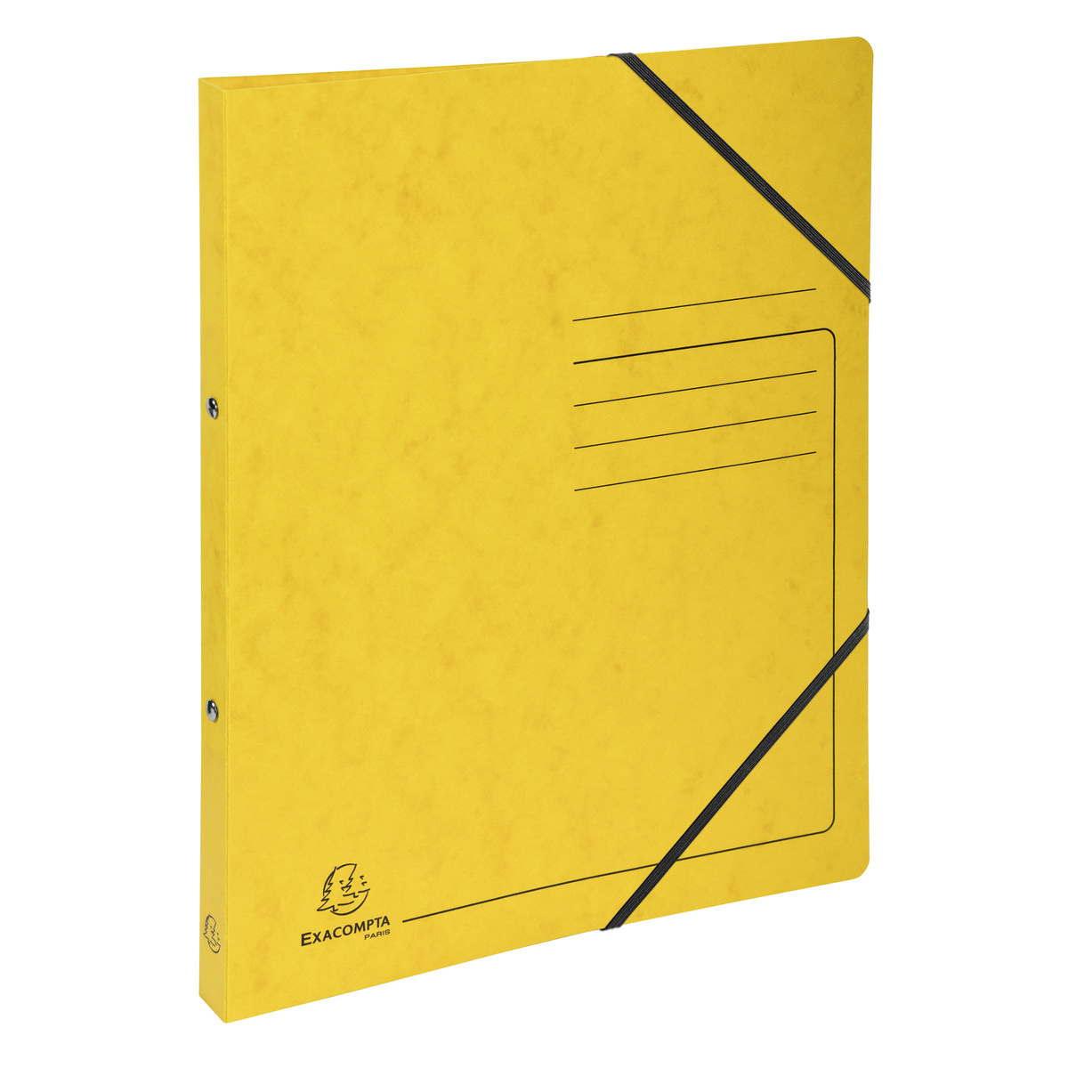 Exacompta Reisepasshülle Eden – 9,5 X 13,5 Cm, Gold-glitzernd, Weiches PVC