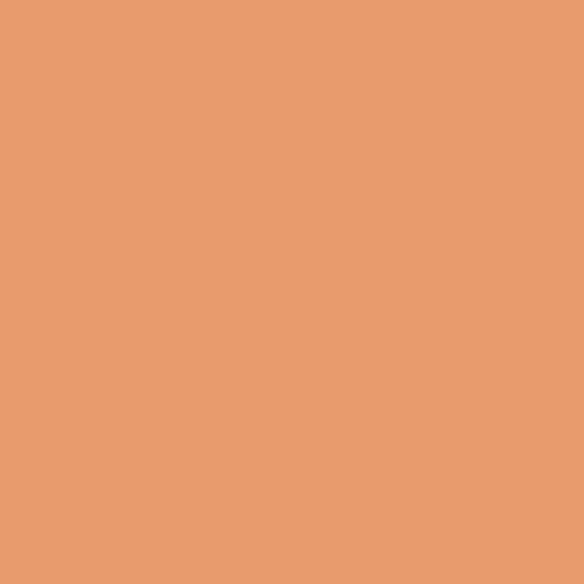 cashew - 108.5