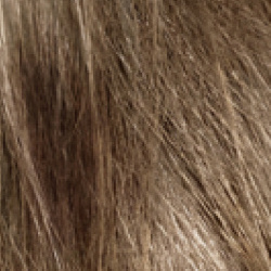 Mittelaschblond - 7.1