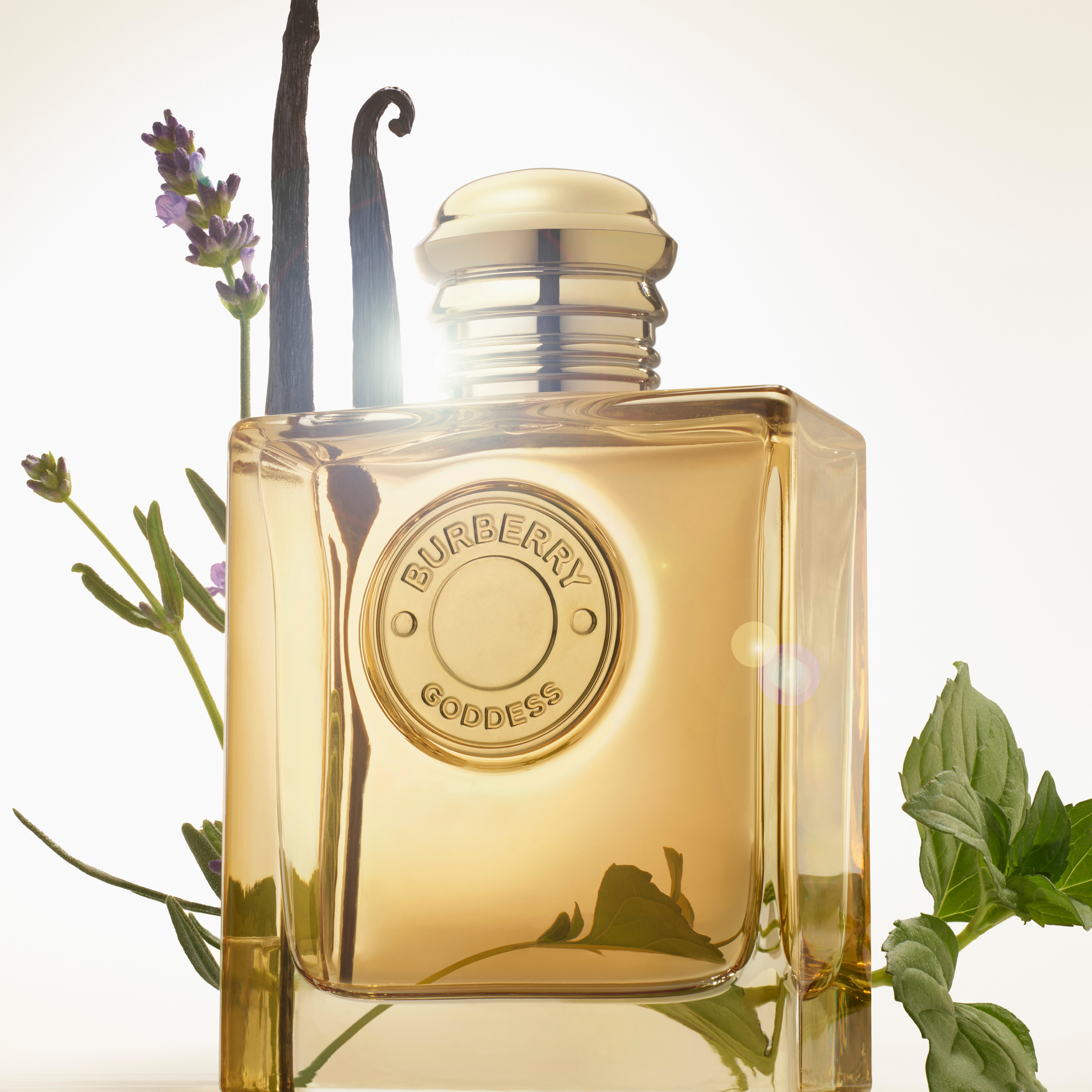 BURBERRY Goddess Eau de Parfum Intense Nachfüllbar online bestellen