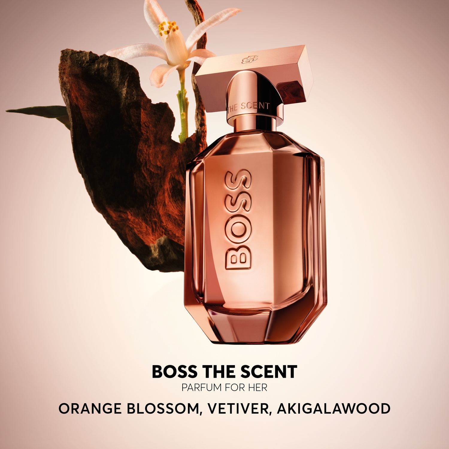 Parfum Hugo Boss Boss ParfÃ¼m Orange For Her MÃ¼ller Boss ParfÃ¼m