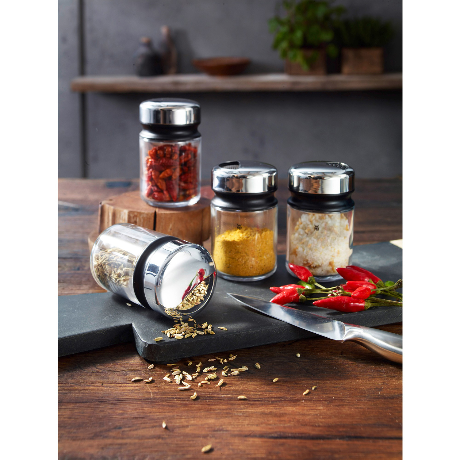 WMF Streuer-Set 4-teilig Depot online bestellen