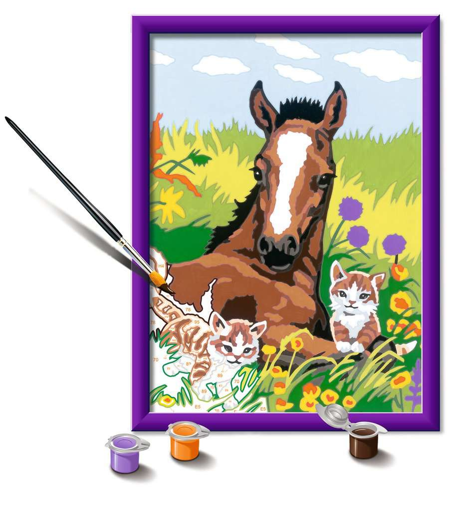 Pintura por números - Ravensburger Creart - Coalas Fofos Pintura por números - Ravensburger Creart - Coalas Fofos
