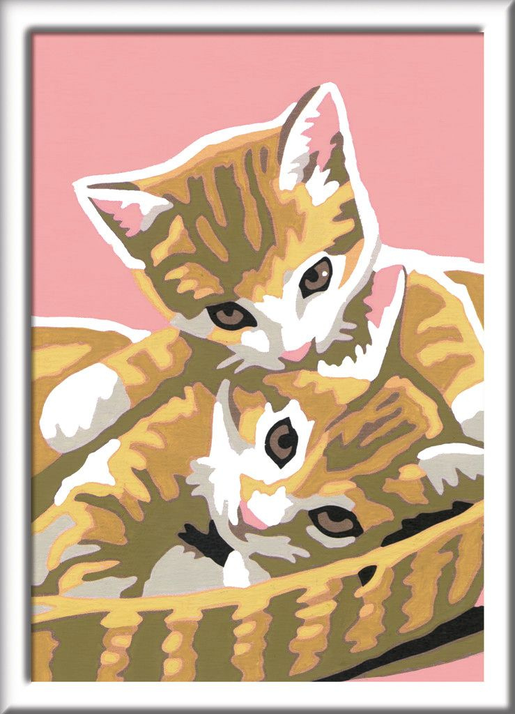 Malen Nach Zahlen Für Erwachsene – Katze & Tiger Motiv | DIY Ölgemälde Set 40x50 Cm