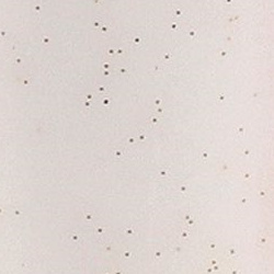 weiß