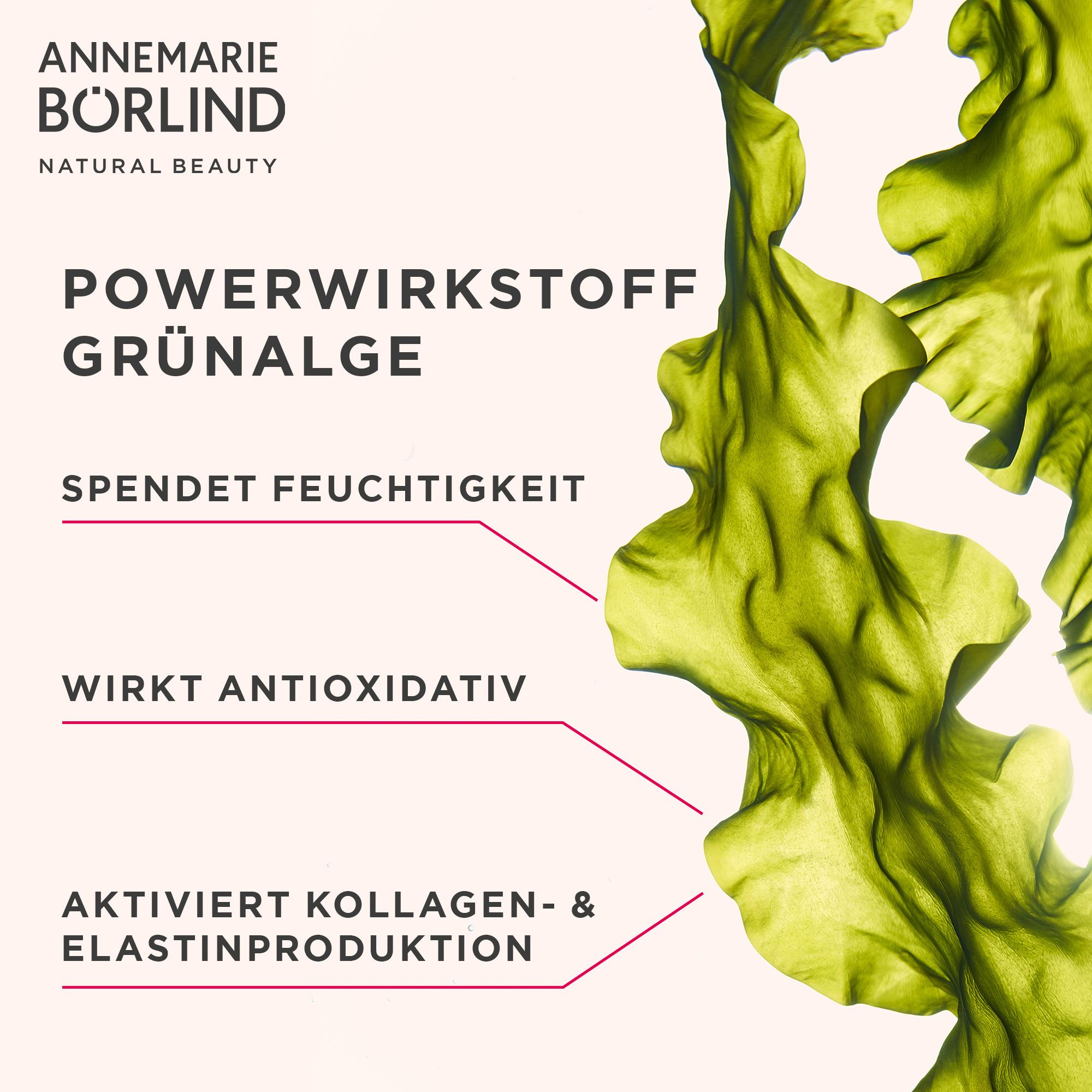 Uniqnature Boroline Ultra Sanfte Antiseptische Nachtcreme, 4x 40 G – Pflegend & Beruhigend