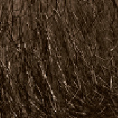 braun - 60