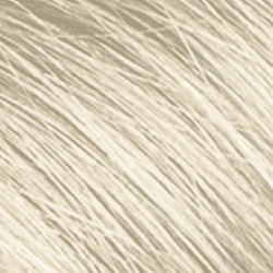 platin blond - platin blond