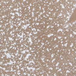 Sahara