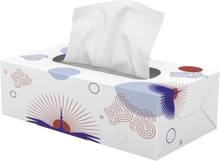 Duchesse Kosmetiktücherbox XXL online bestellen