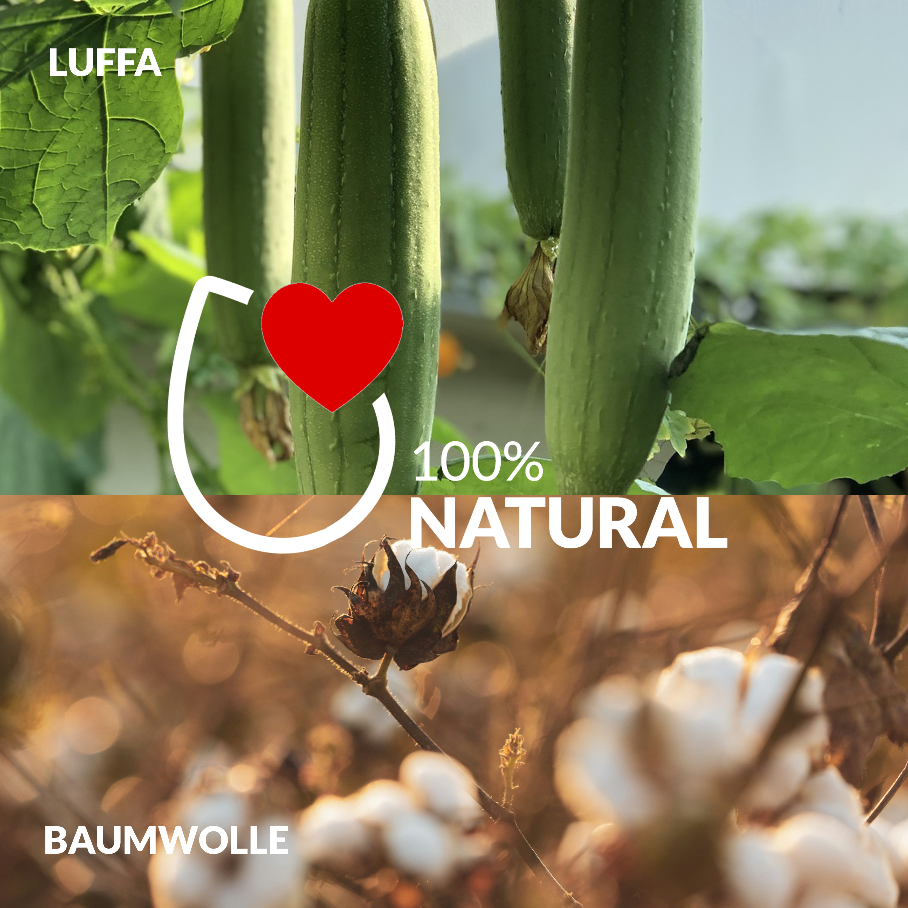 Luffa-Peelinghandschuh – 100% Natürlicher Schwamm Aus Ägypten, 2 Stück