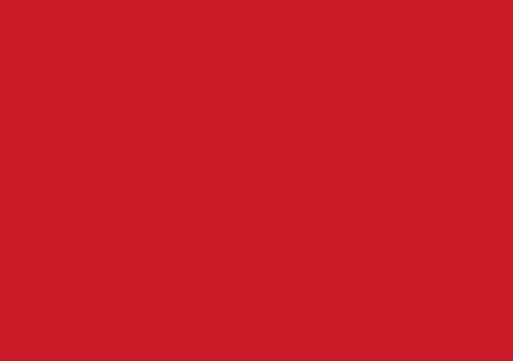 BRCIK RED  - 59