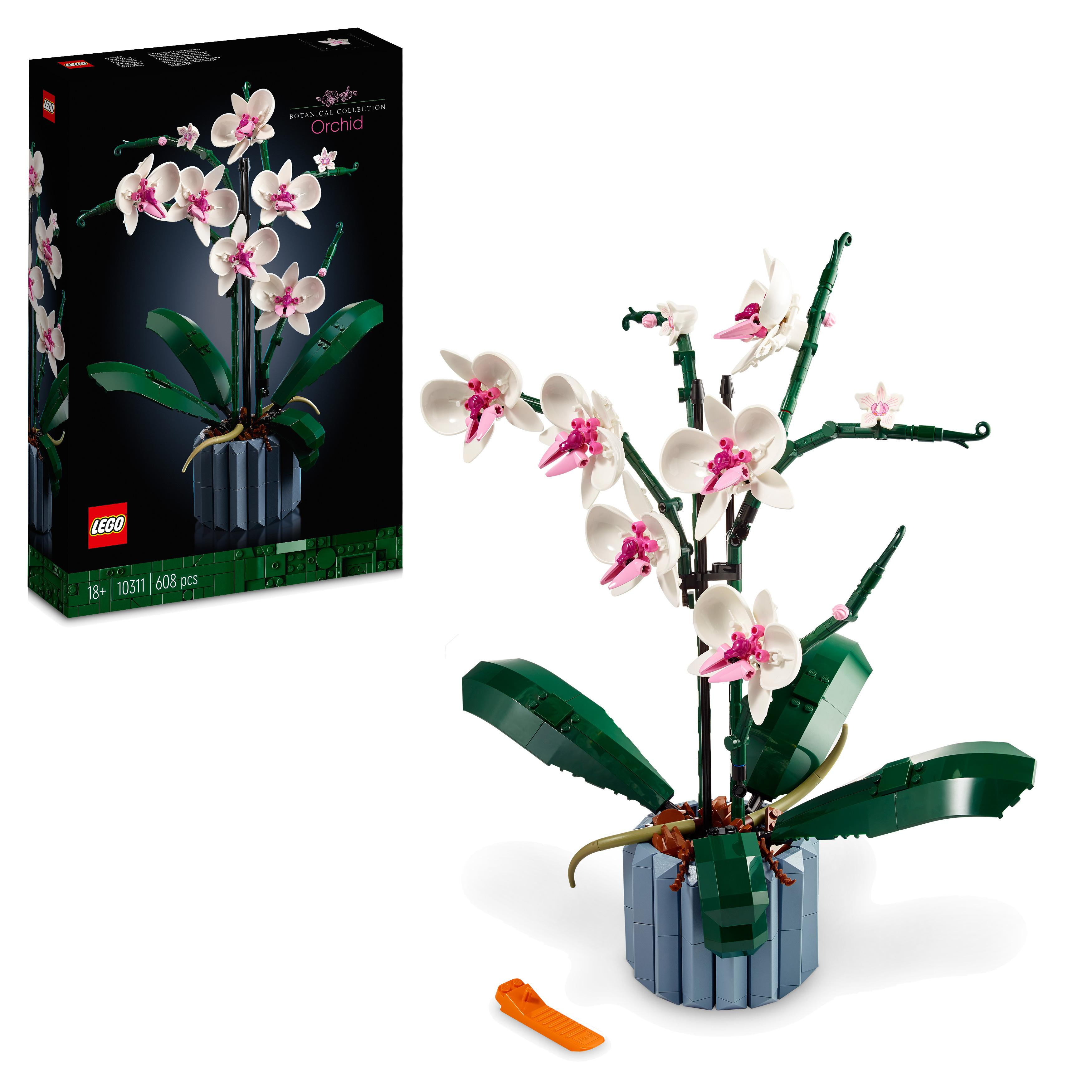 LEGO Botanicals online bestellen | MLLER
