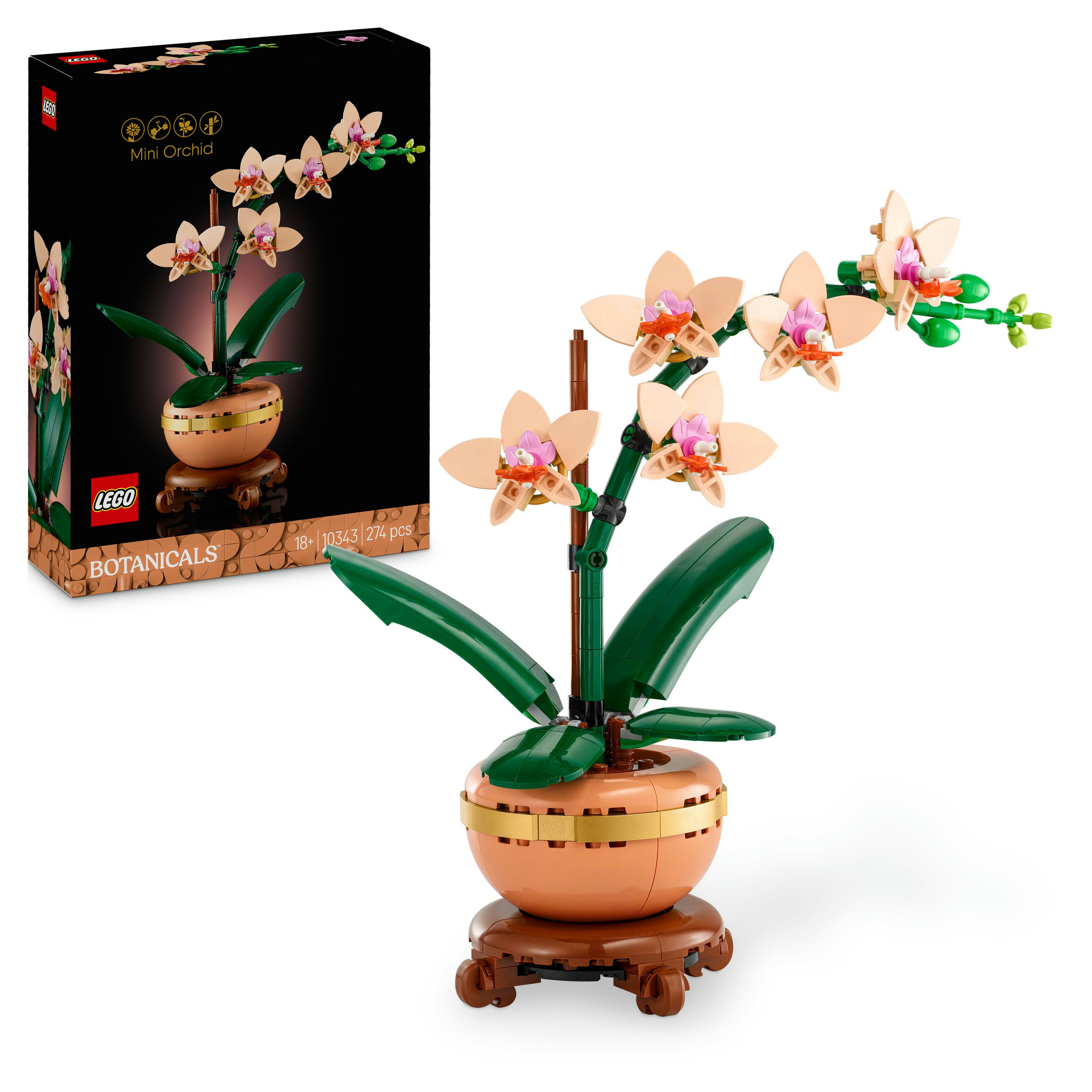 natal plum plant Shop Carissa macrocarpa Natal Plum main image 1
