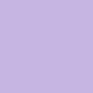 Vivid lilac