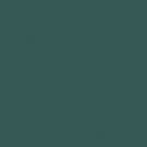 Petrol